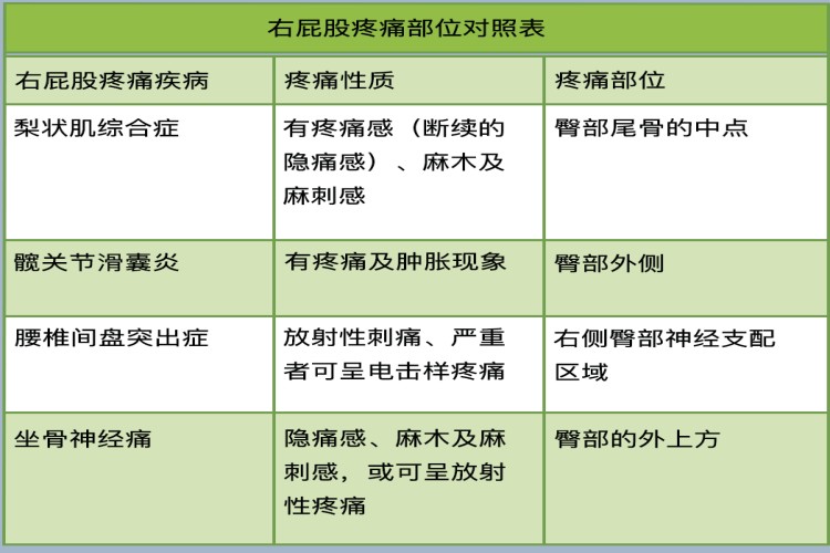 右屁股疼痛部位对照表