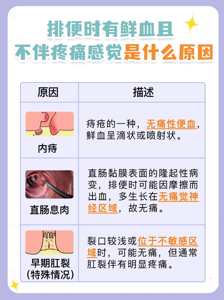 排便时有鲜血又不疼：分析原因