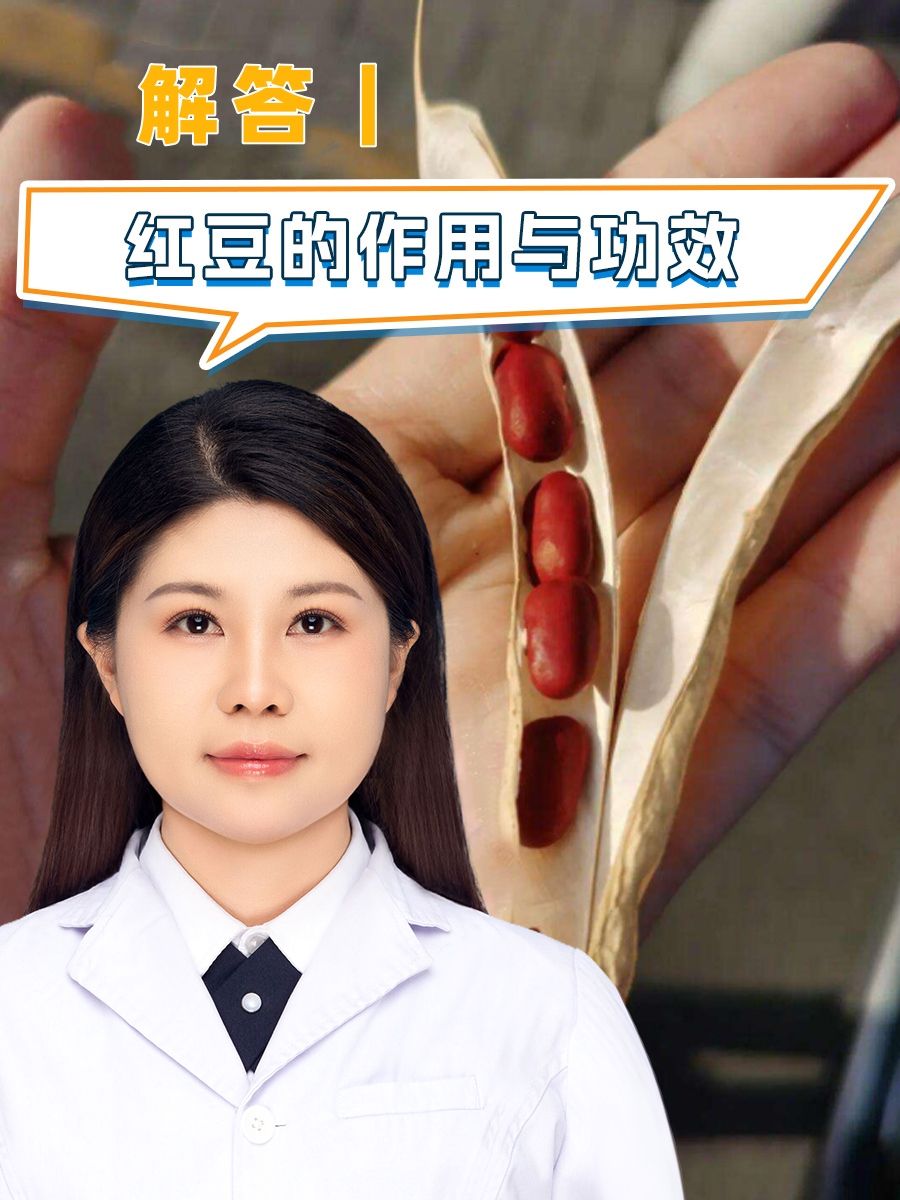 解答|红豆的作用与功效