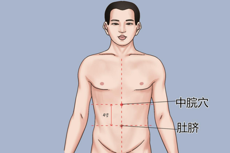 中脘穴位置图 中脘穴位置图