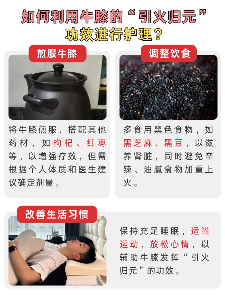 牛膝引火归元的原理,99%的人都不知道!