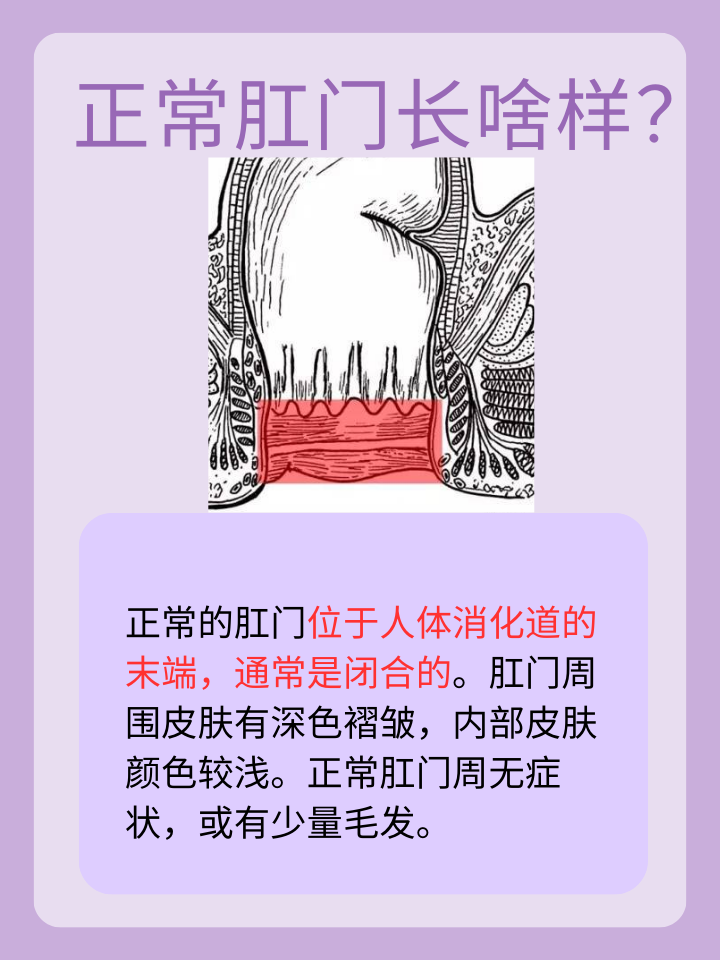 揭秘健康：你的肛门正常长这样吗？