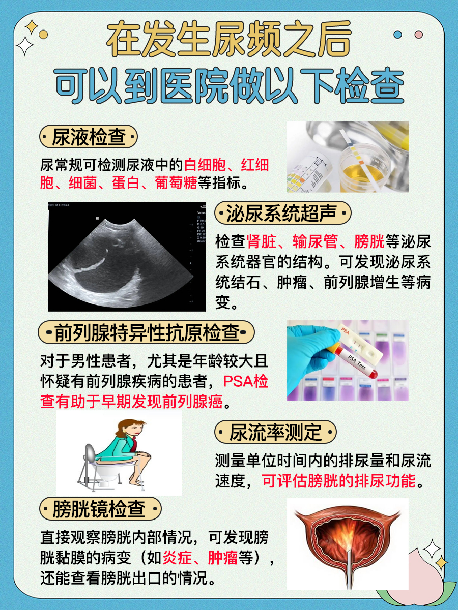 尿频的解决方案都在这里,大家快来看