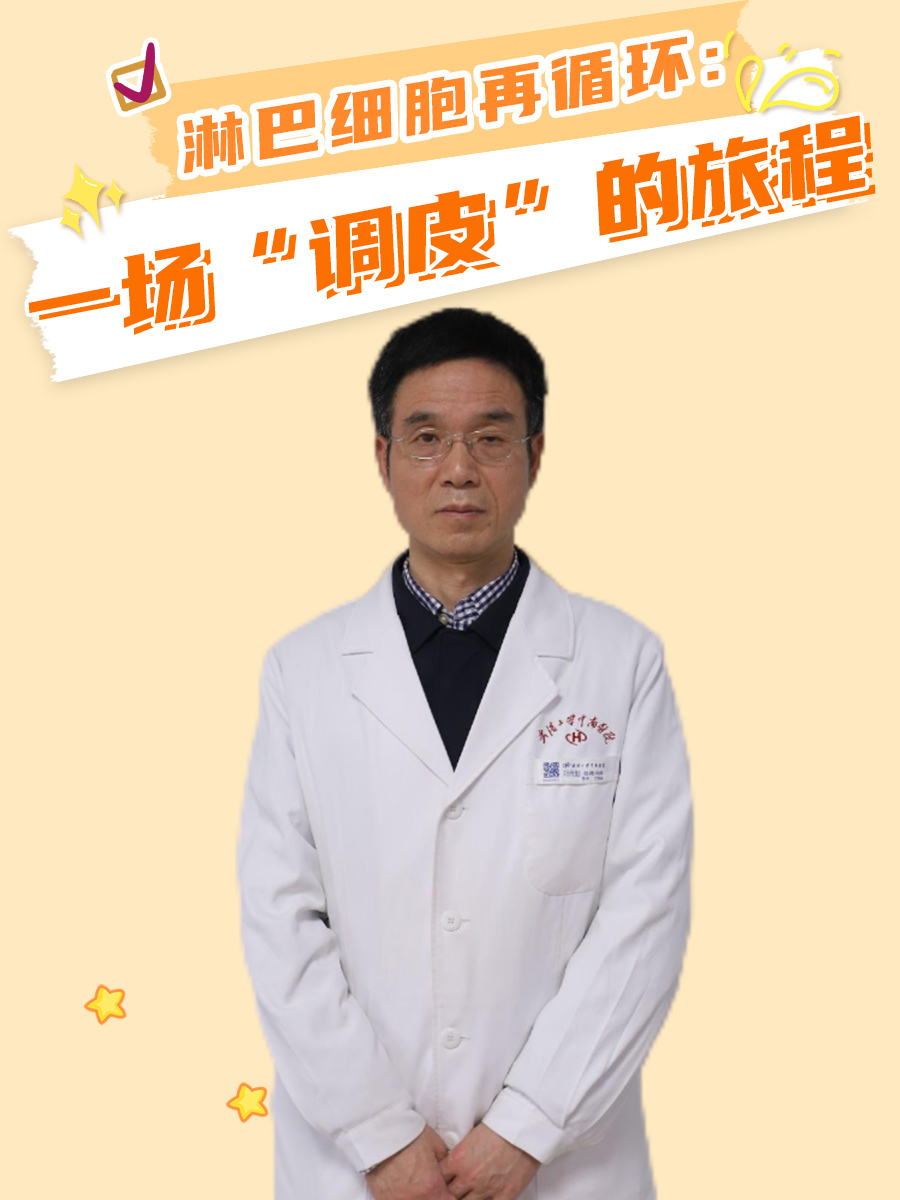 淋巴细胞再循环：一场“调皮”的旅程