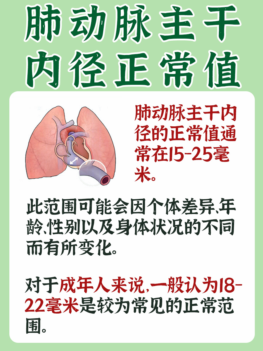 肺动脉内径正常值，你了解吗？