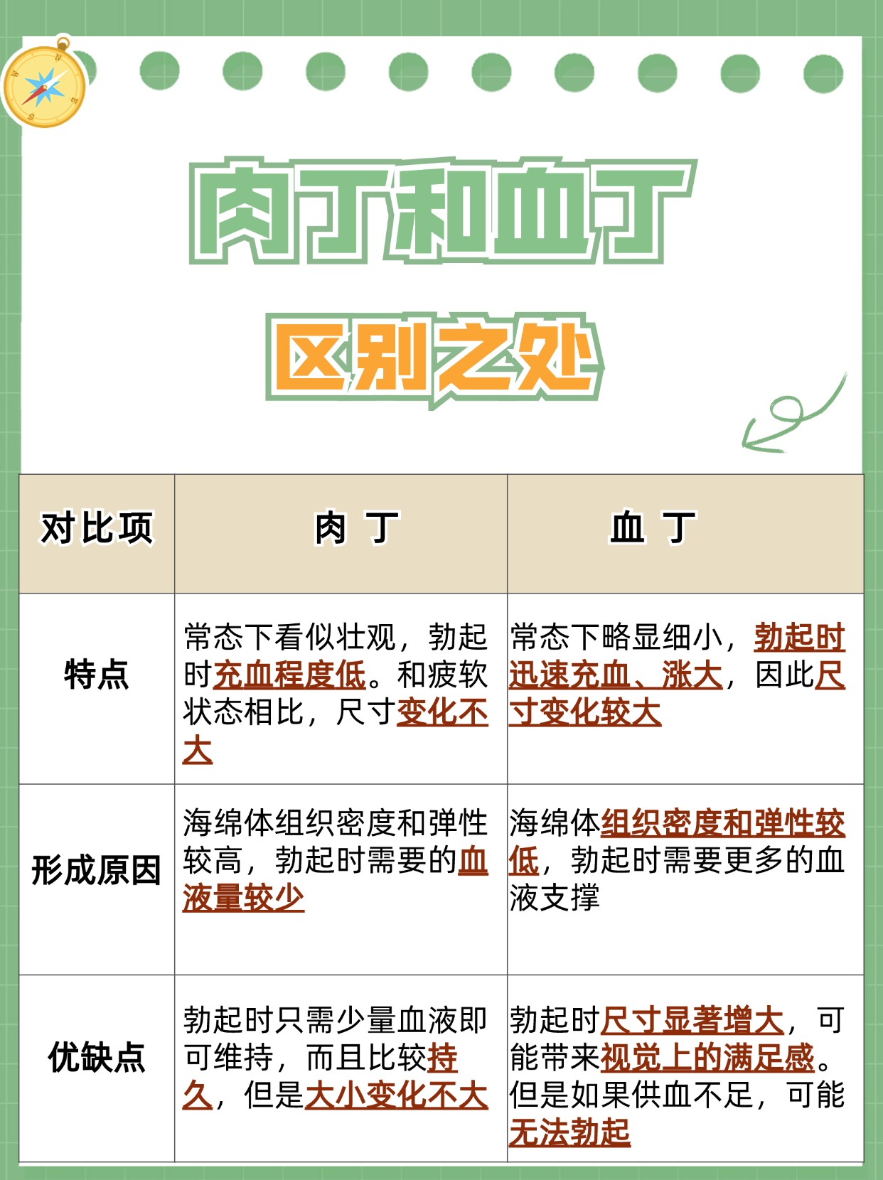 医生揭秘：肉丁VS血丁，区别在哪里？