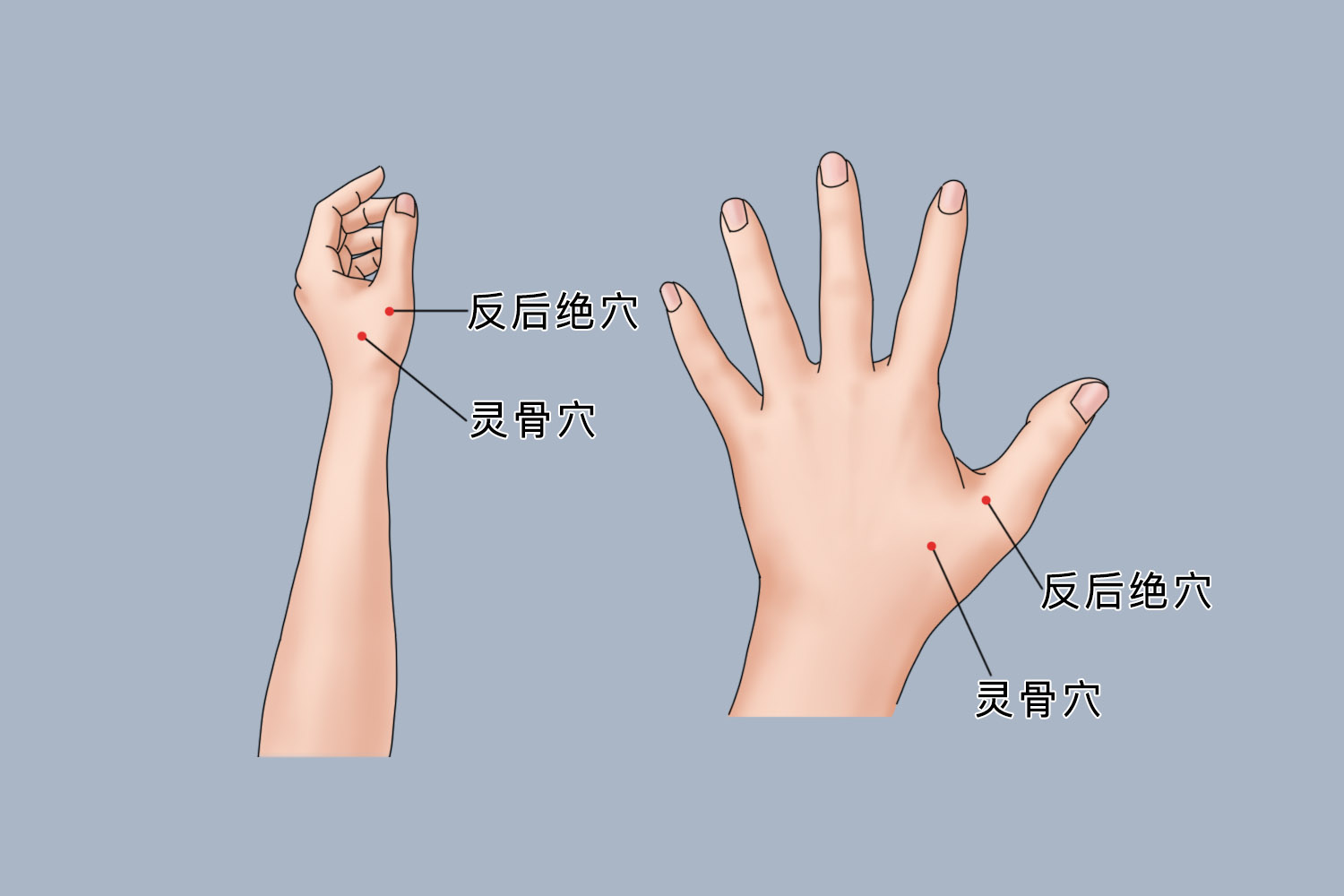 反后绝穴位置图