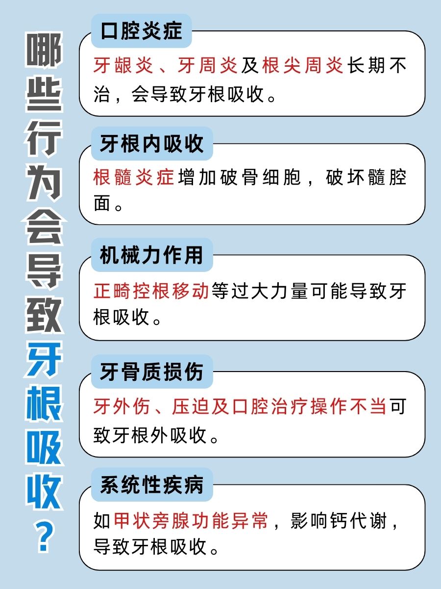 MicroCT下牙根吸收啥意思，不看就白做