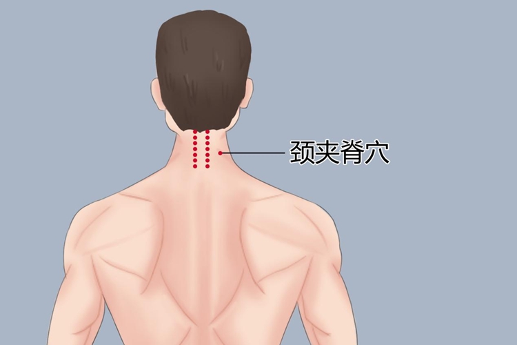 颈夹脊穴图