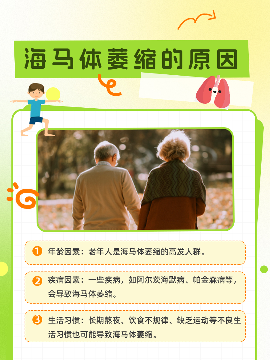 关注海马体萎缩，守护我们的记忆宝库！