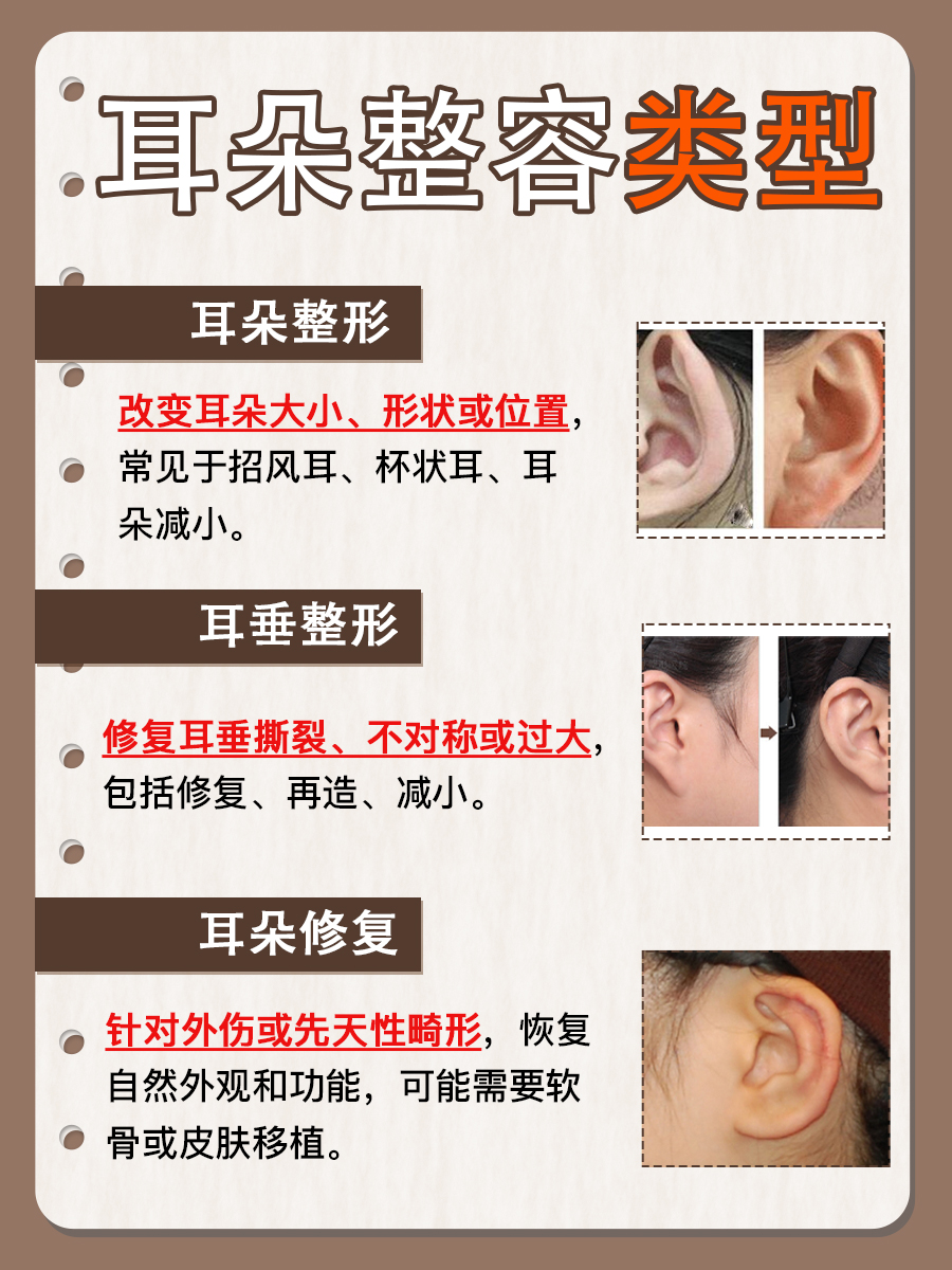 耳朵整容攻略：如何安全有效地改变耳朵形态？