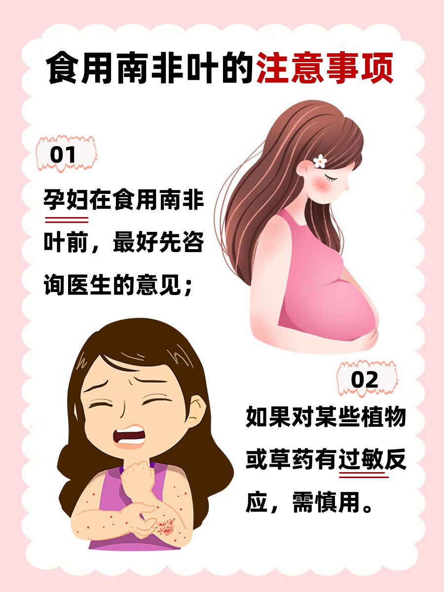 南非叶的功效与作用，看这篇就够啦！