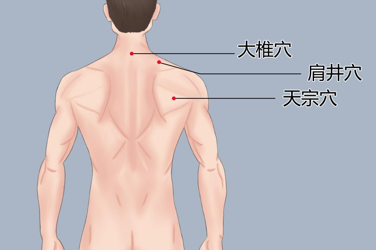 颈椎病三伏贴贴在什么位置_有来医生