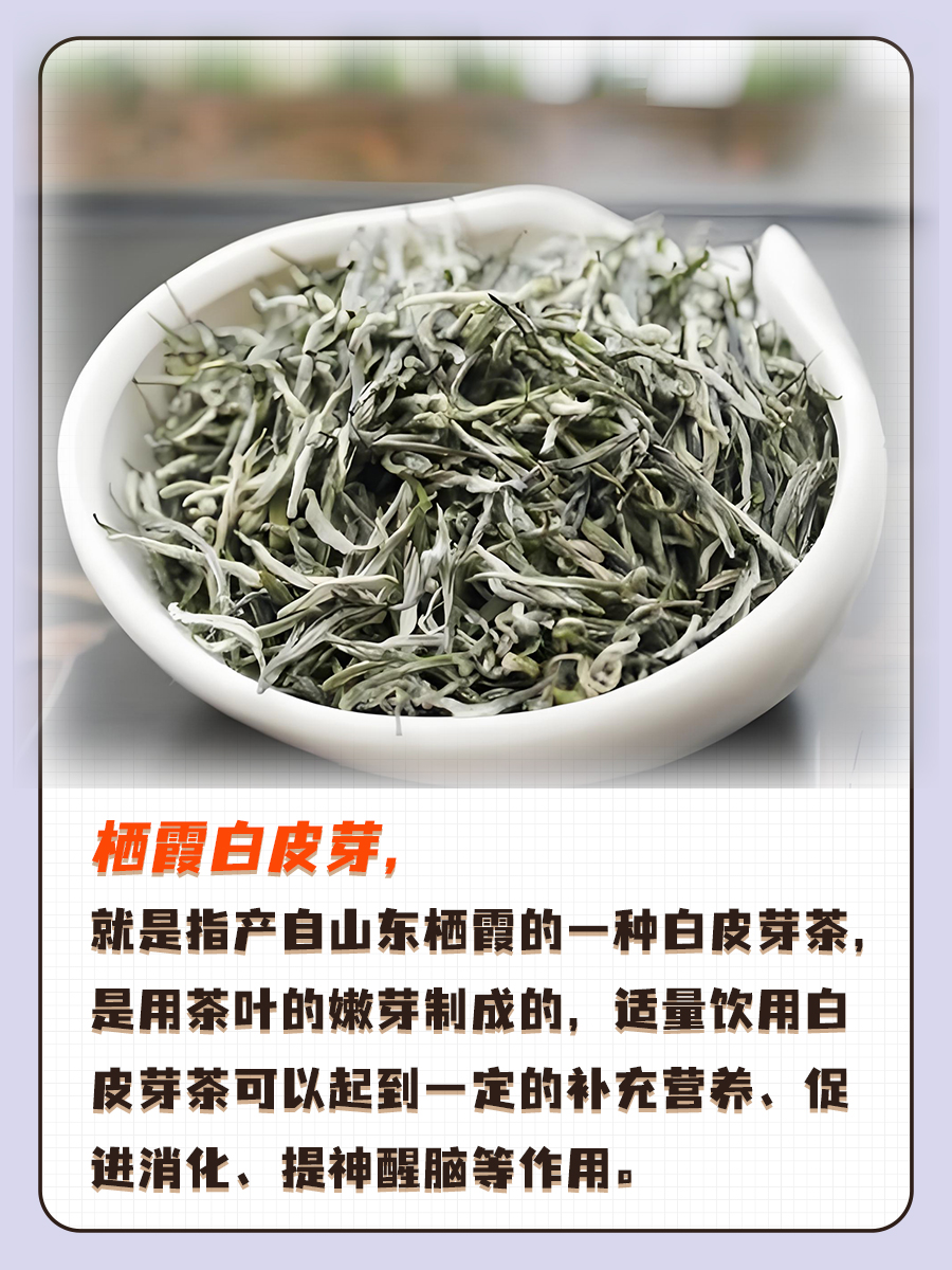 栖霞白皮芽是啥？有什么功效与作用？