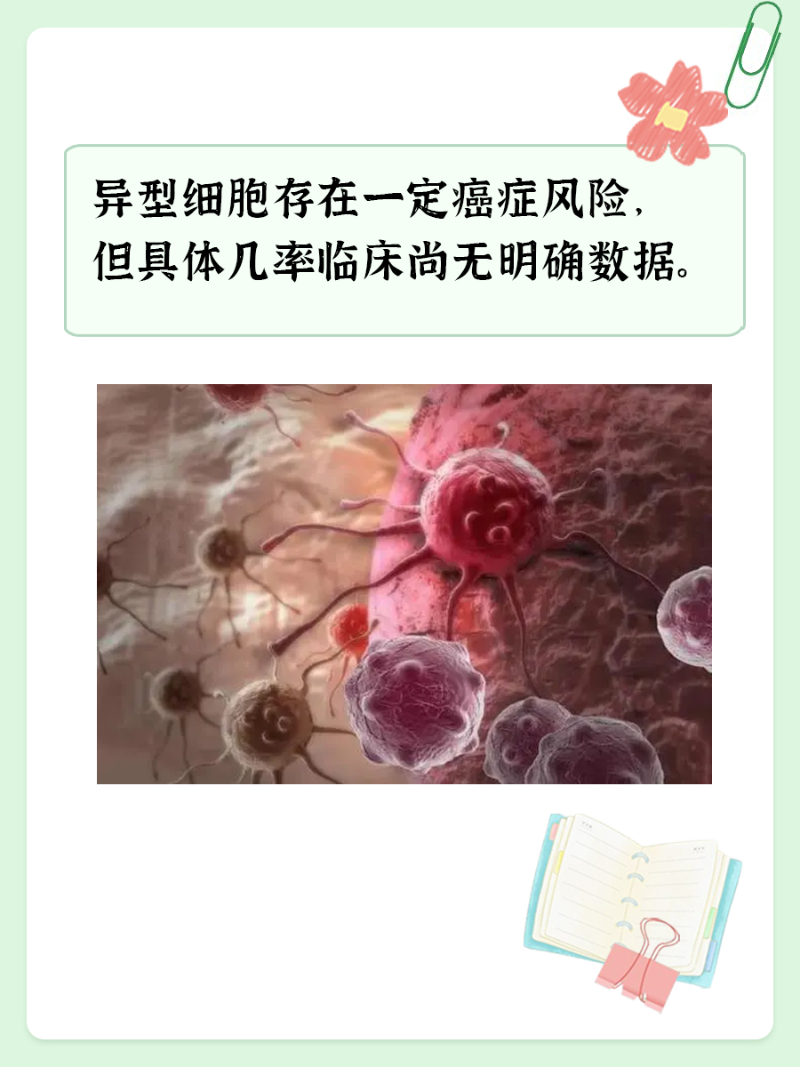 揭秘：有异形细胞，多大几率可能是癌？