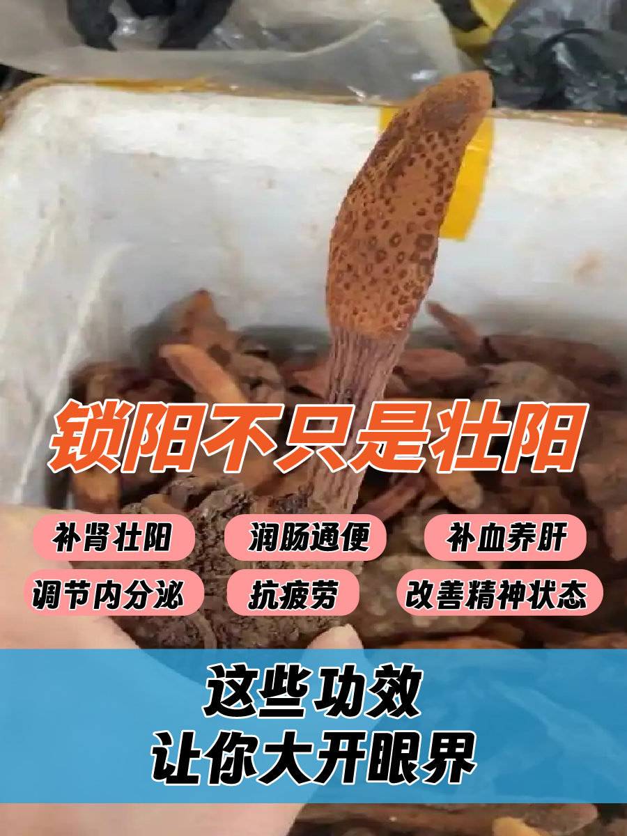 锁阳不只是壮阳，这些功效让你大开眼界