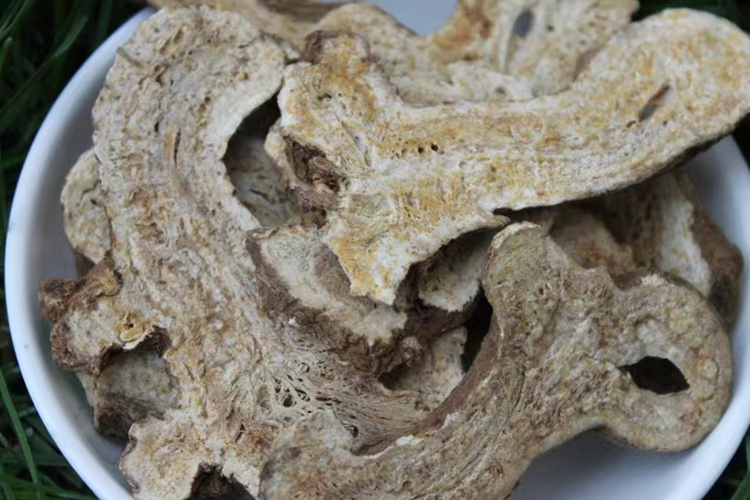 中药白术药材图