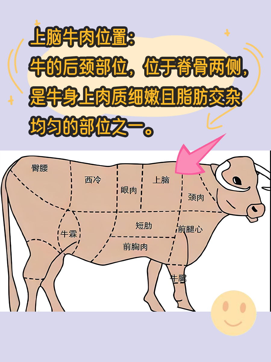 上脑牛肉是哪个部位？一篇文章带你认识它！