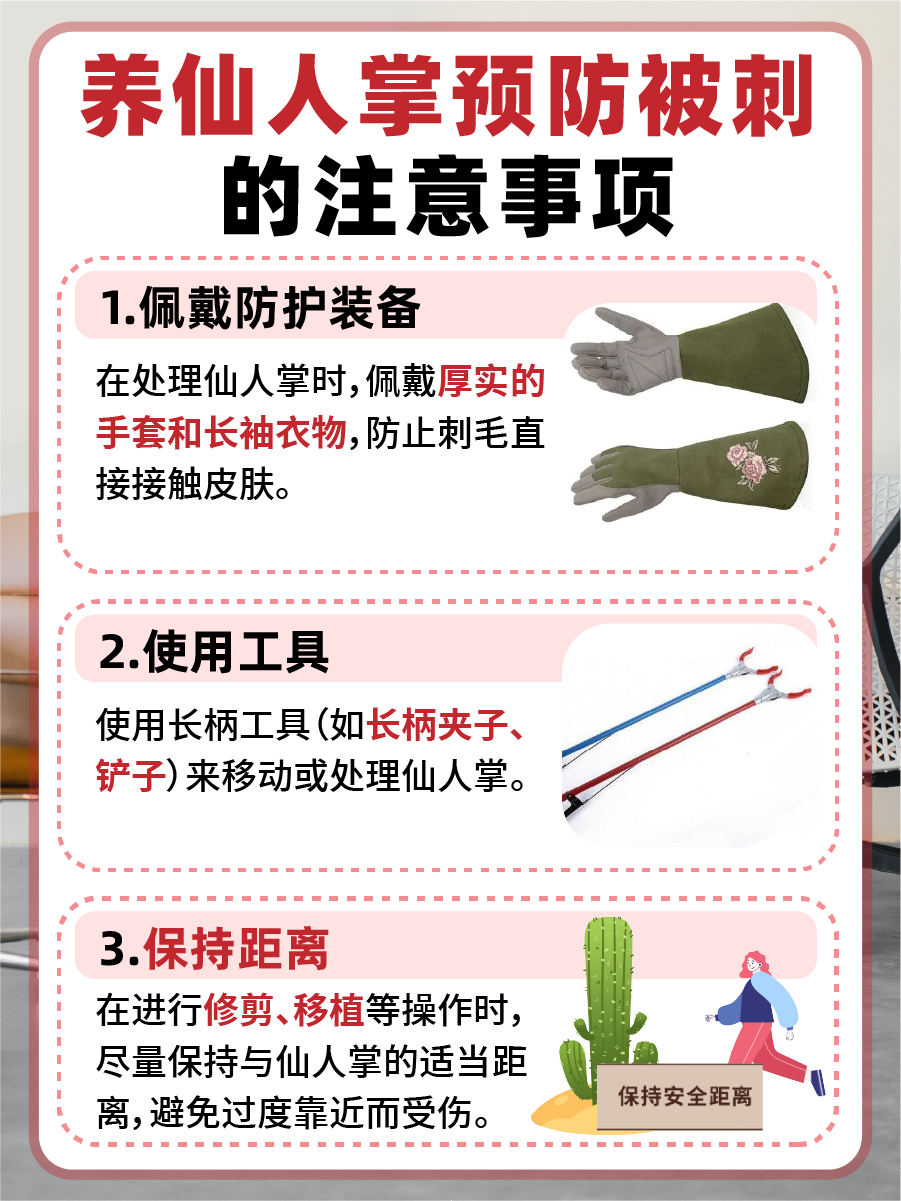仙人掌的刺扎进手里怎么办：医生来解答