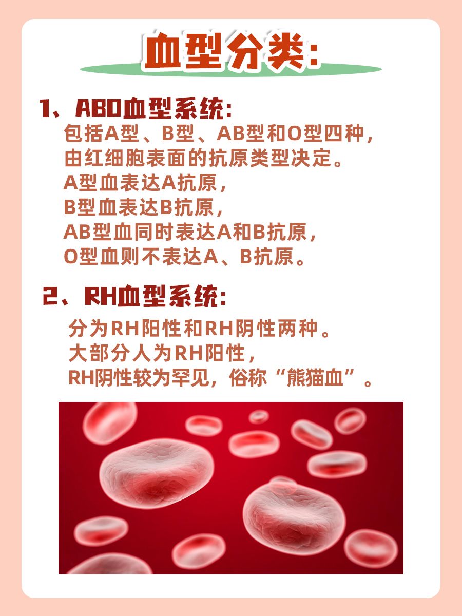 ABO血型属于DNA遗传标记吗？看完就懂了