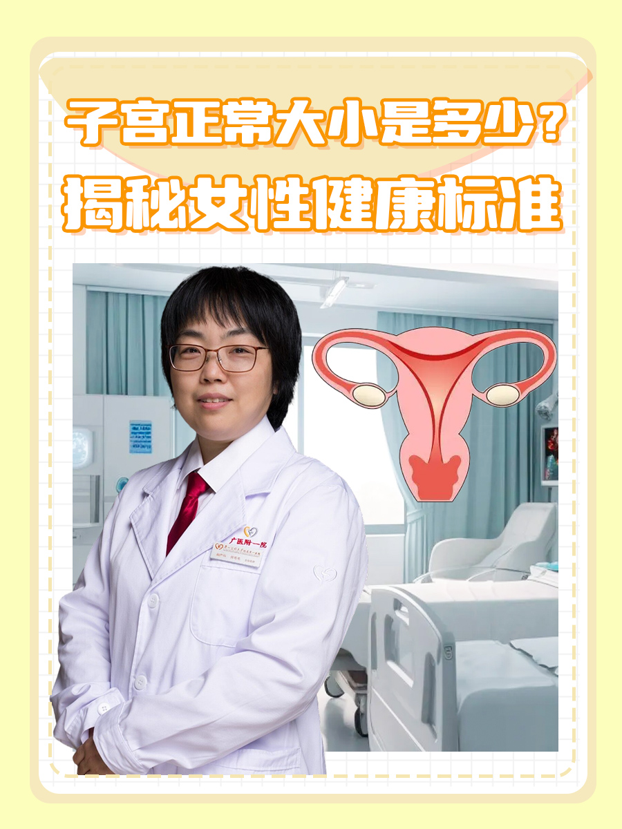 子宫正常大小是多少？揭秘女性健康标准