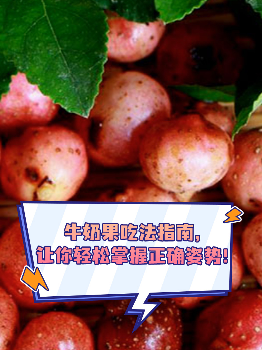 牛奶果吃法指南，让你轻松掌握正确姿势！