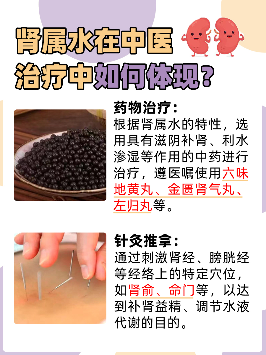 带你了解：肾对应的五行属性是什么