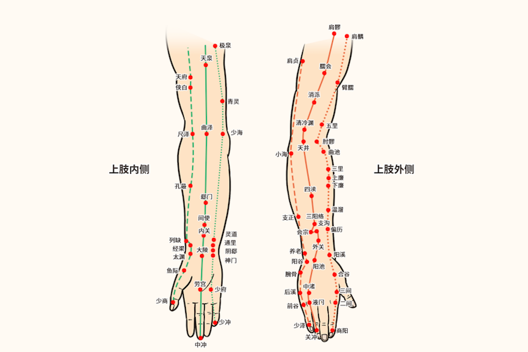 手臂经络位置图 手臂经络位置图