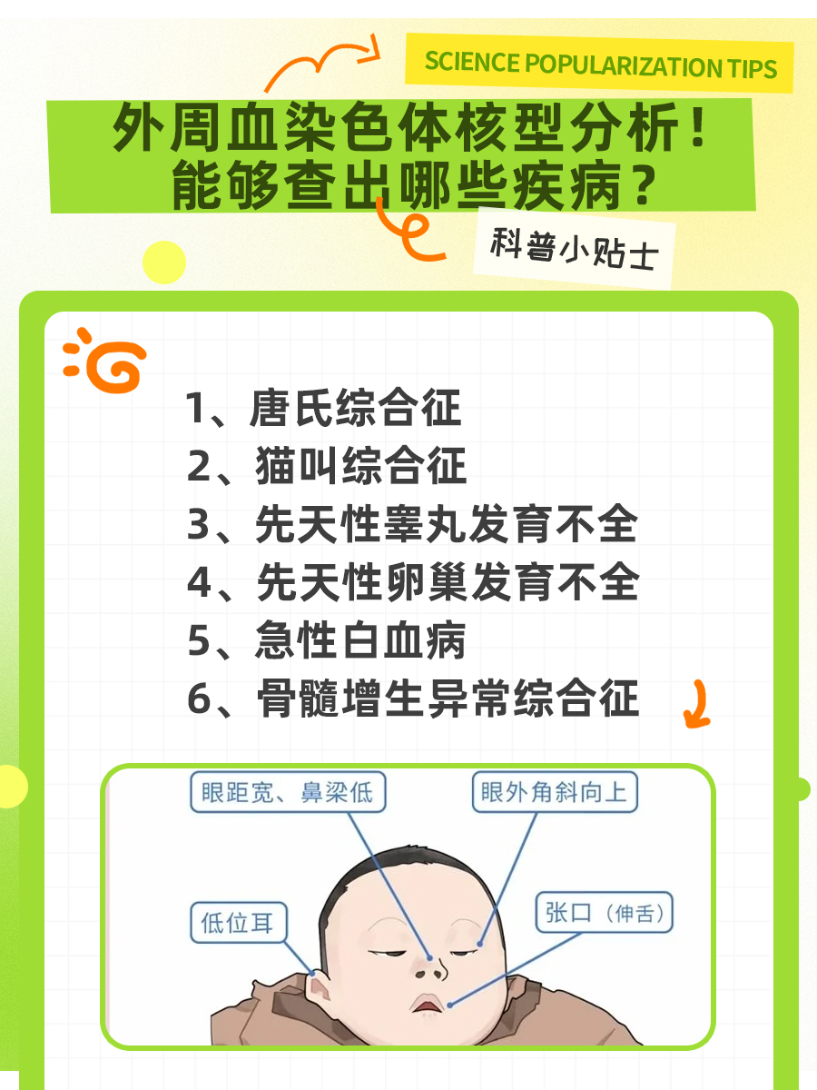 外周血染色体核型分析！能够查出哪些疾病？