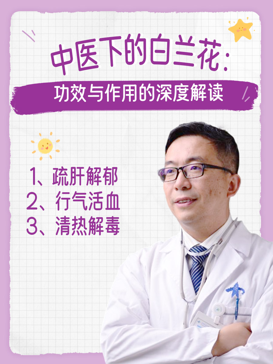 中医下的白兰花：功效与作用的深度解读