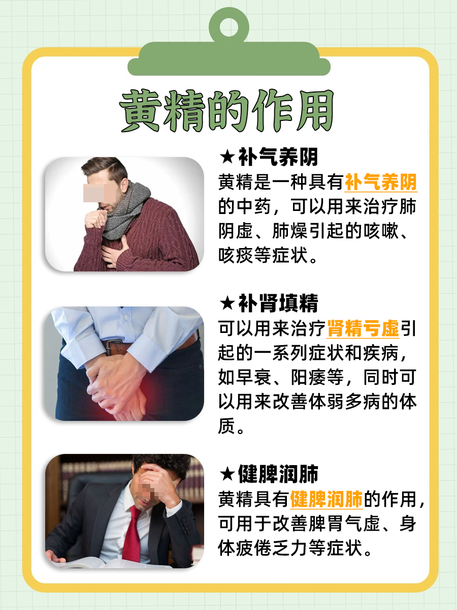 黄精多少钱，揭秘具体价格