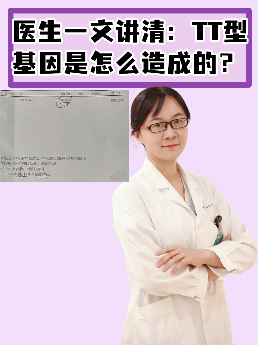 医生一文讲清:TT型基因是怎么造成的?
