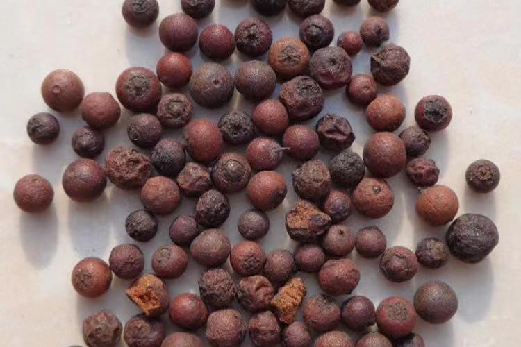 盐酸鸡草果药材性状图 盐酸鸡草果药材性状图