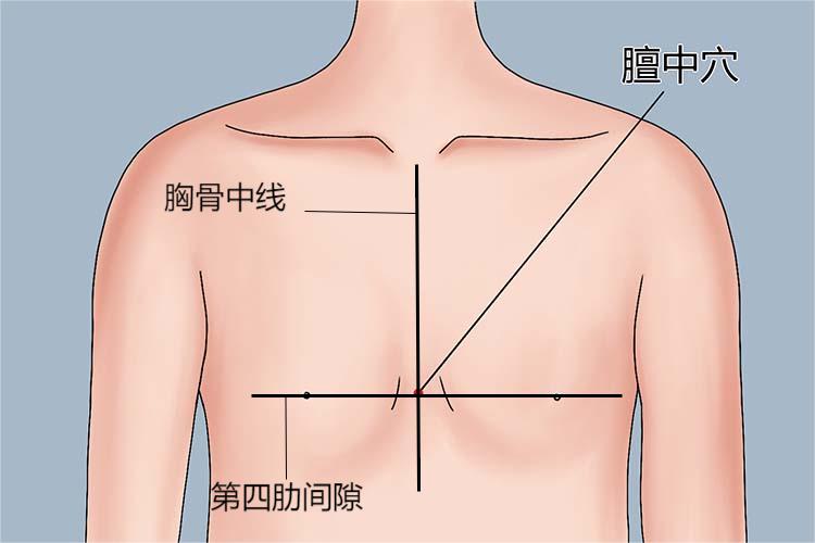 膻中穴位置图