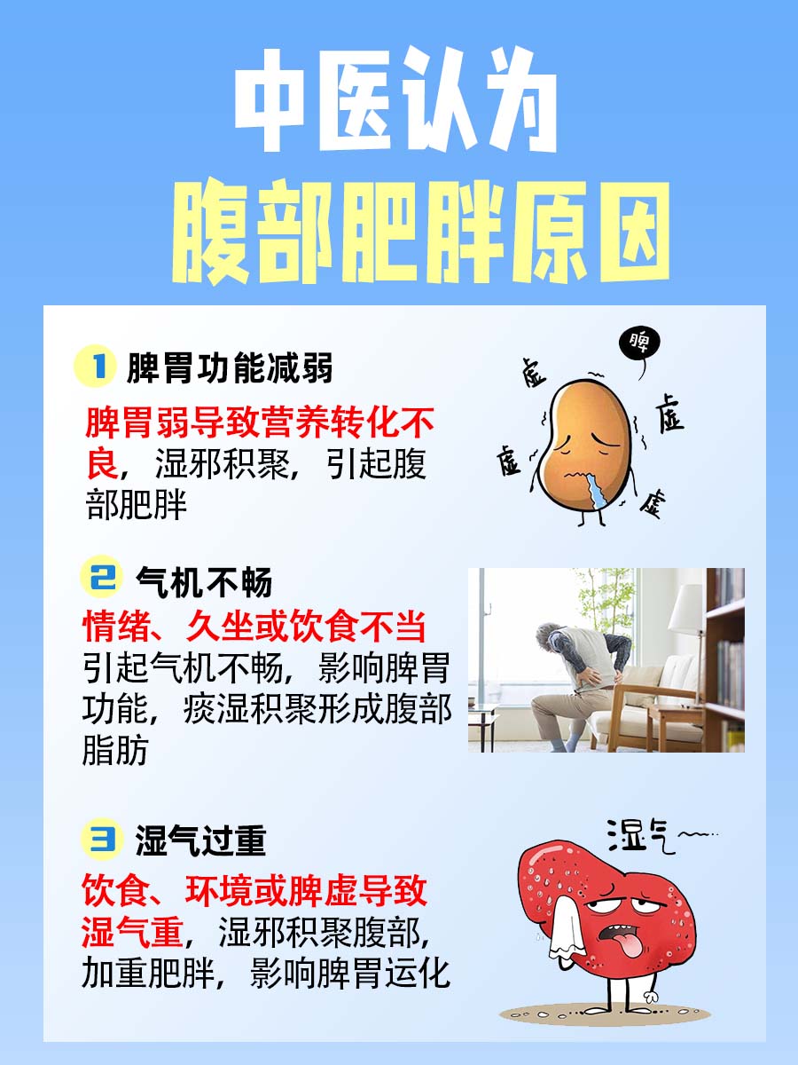 中医揭秘：腹部肥胖的真正原因