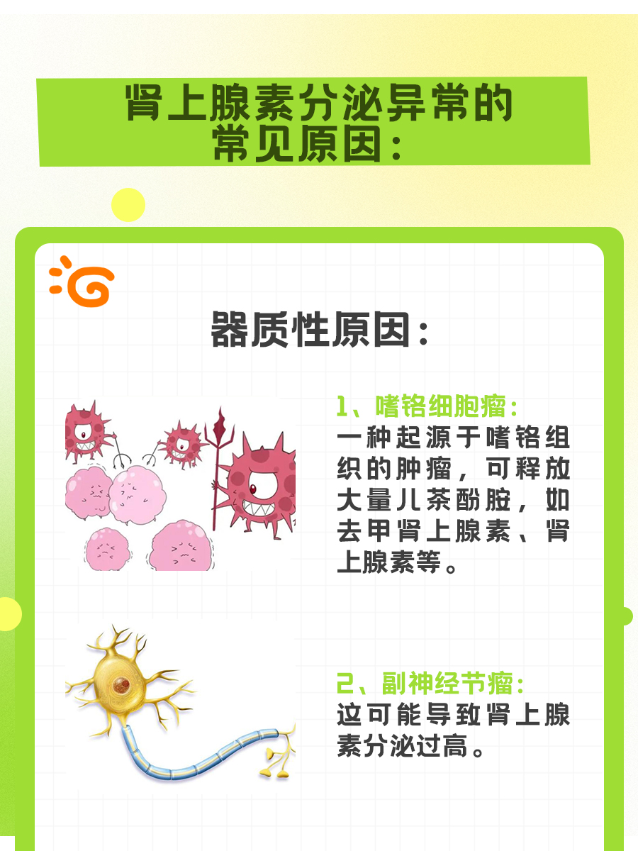 别再混淆了！肾上腺素，AD还是ADR？