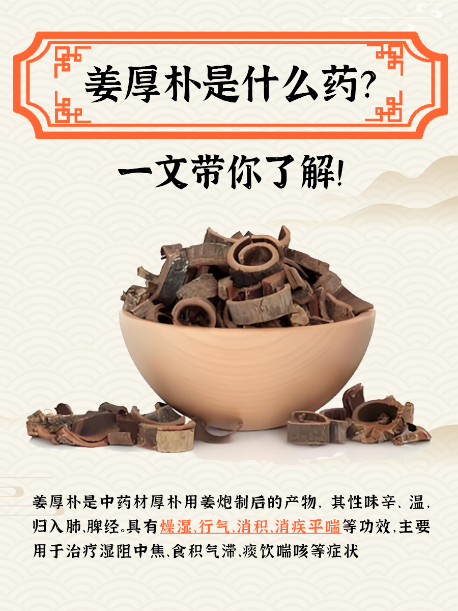 姜厚朴是什么药？一文带你了解！