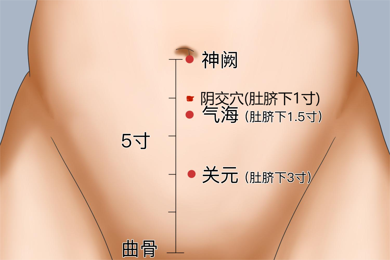 按摩卵巢的穴位图
