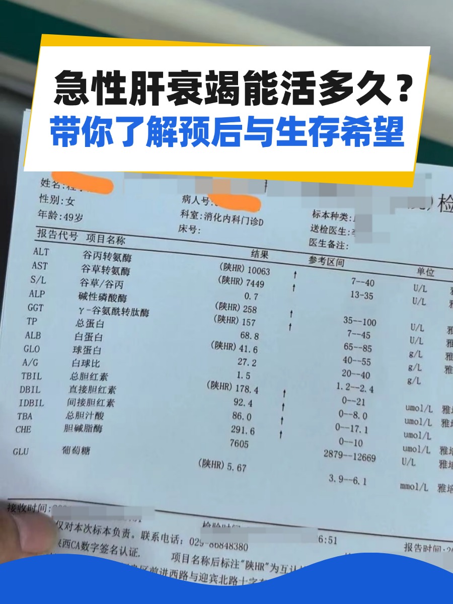急性肝衰竭能活多久？带你了解预后与生存希望