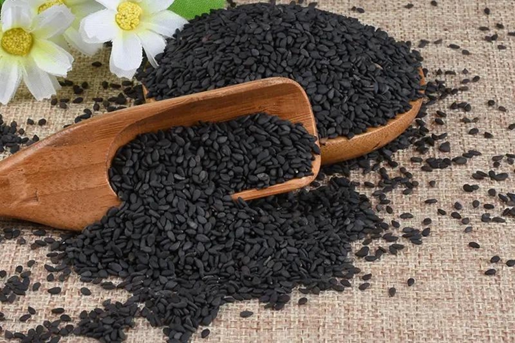黑胡麻药材图