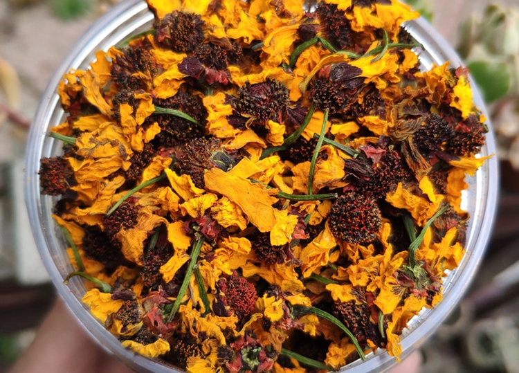 昆仑雪菊.jpg