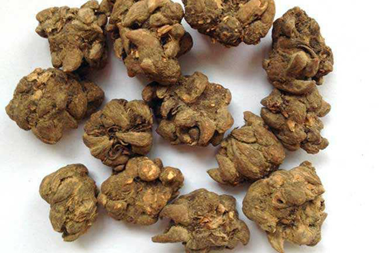 猫爪草图 猫爪草图