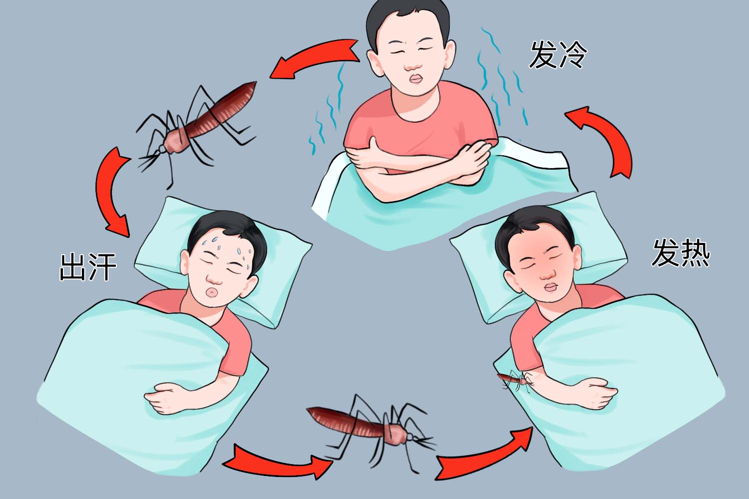 疟疾图片_有来医生
