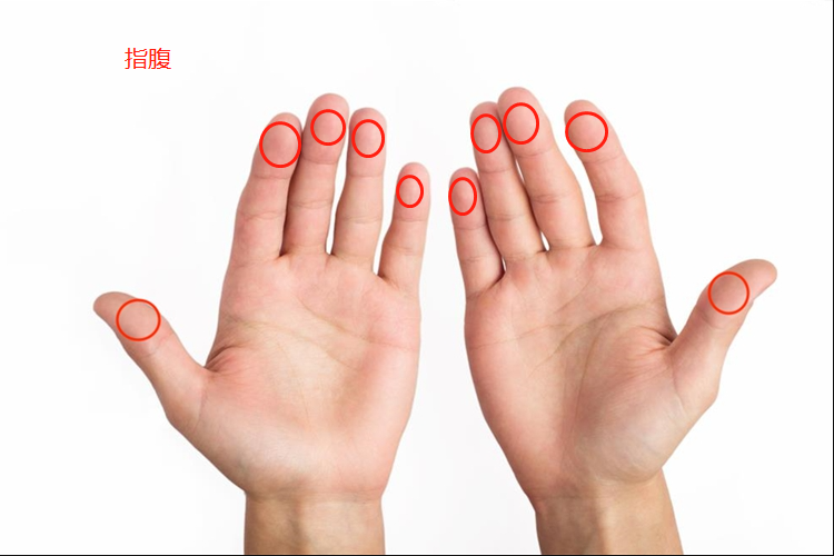 指腹位置图