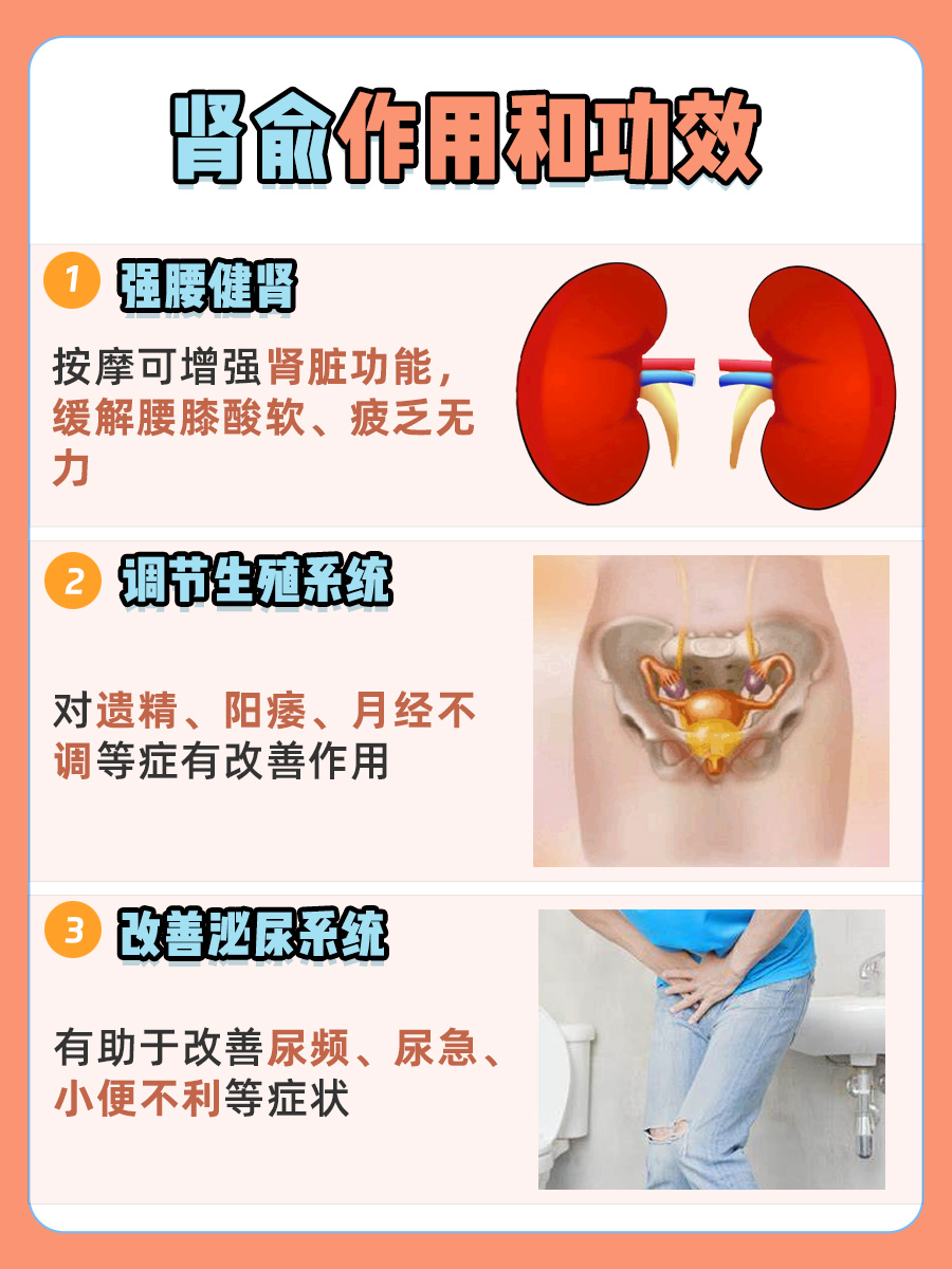 肾俞的位置与作用和功效：一文解答