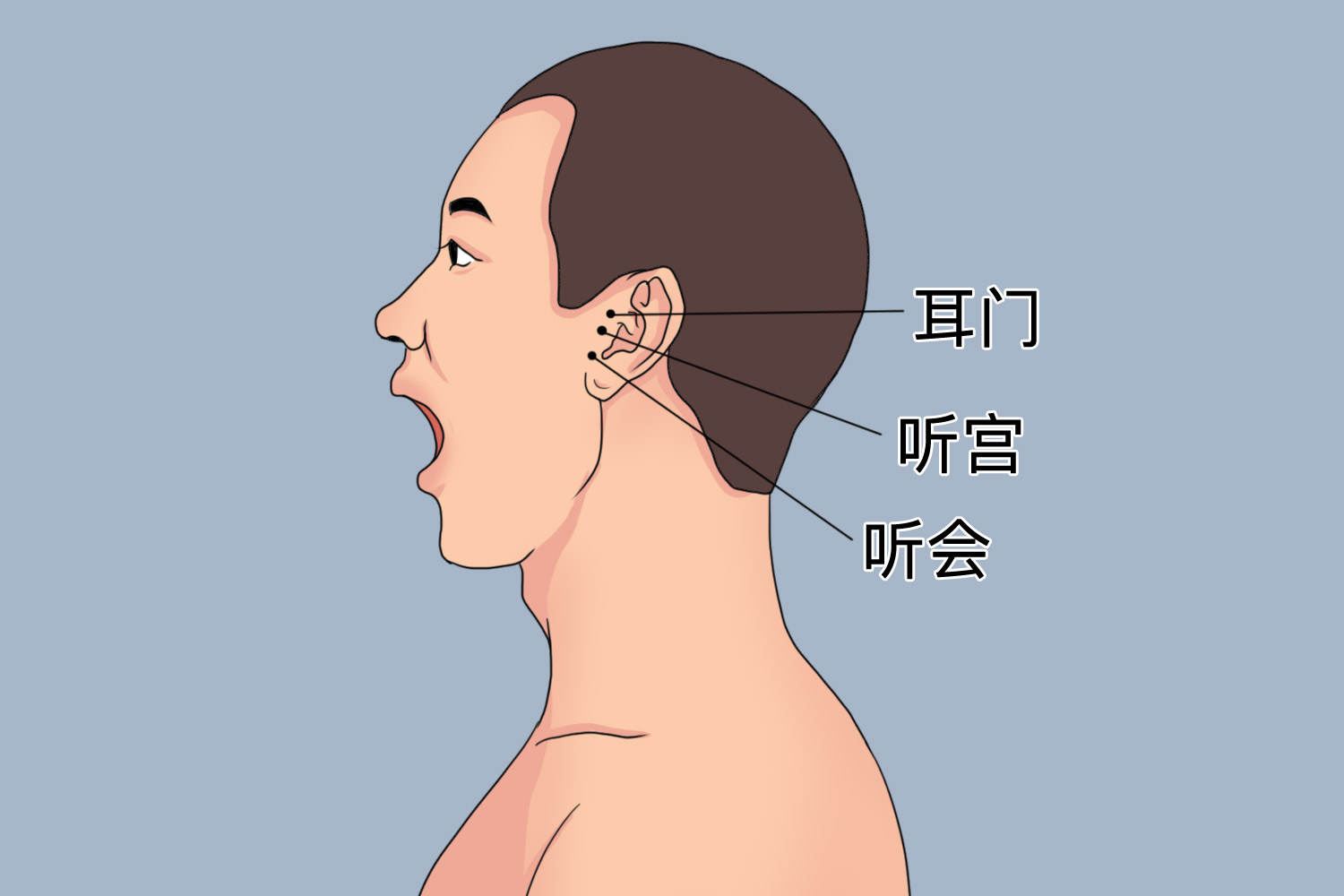 听会位置图 听会位置图
