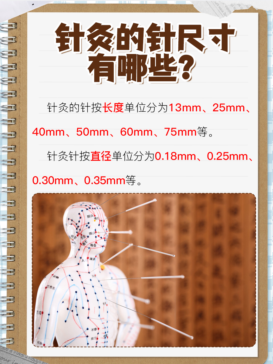 这里能了解——针灸的针有几种尺寸