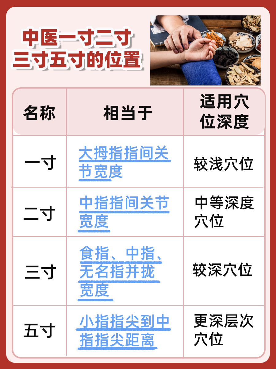 中医一寸二寸三寸五寸图解