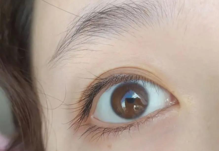 正常睫毛图