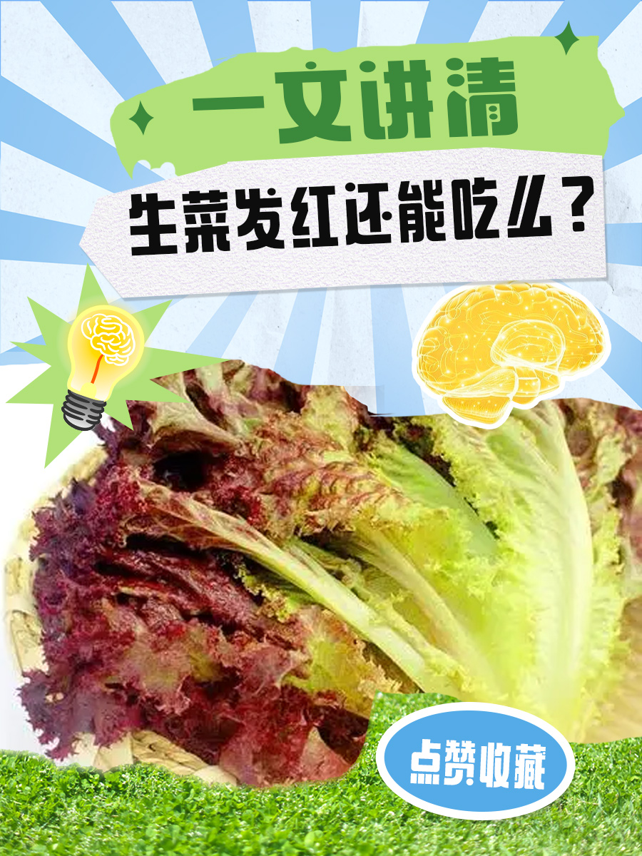 一文讲清：生菜发红还能吃么？
